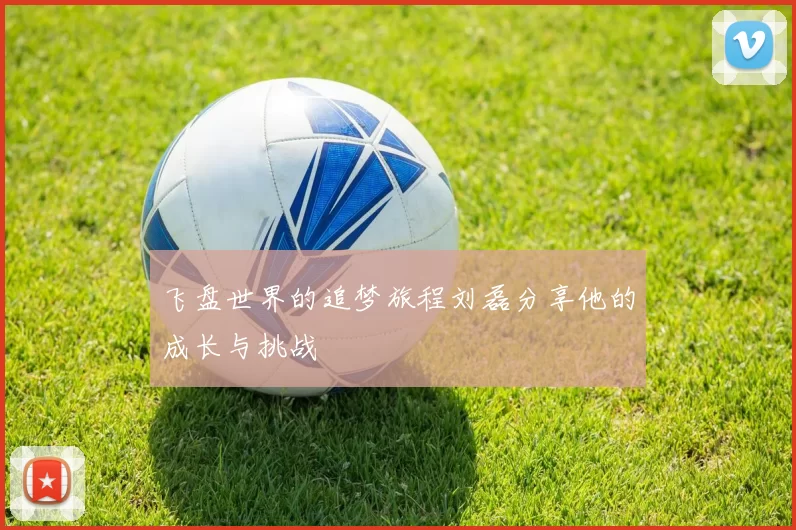 飞盘世界的追梦旅程刘磊分享他的成长与挑战