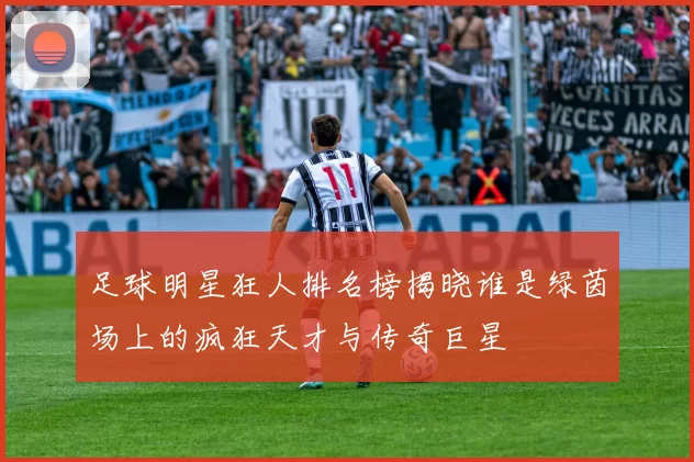 足球明星狂人排名榜揭晓谁是绿茵场上的疯狂天才与传奇巨星
