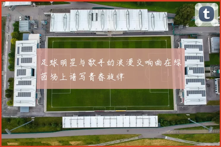 足球明星与歌手的浪漫交响曲在绿茵场上谱写青春旋律