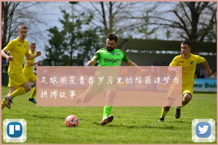 足球明星青春岁月里的绿茵追梦与拼搏故事
