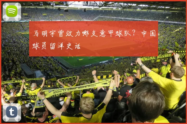 马明宇曾效力哪支意甲球队？中国球员留洋史话