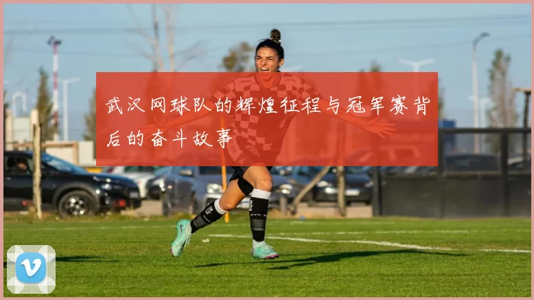 武汉网球队的辉煌征程与冠军赛背后的奋斗故事