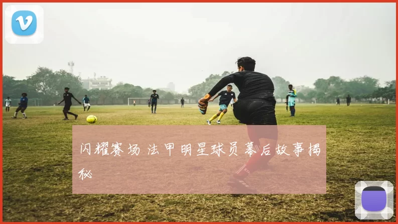 闪耀赛场 法甲明星球员幕后故事揭秘