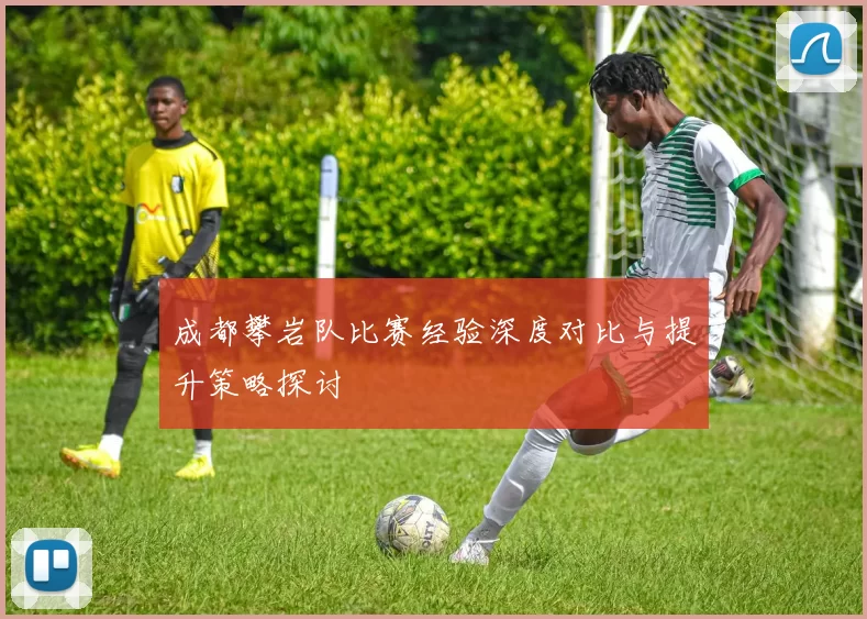 成都攀岩队比赛经验深度对比与提升策略探讨
