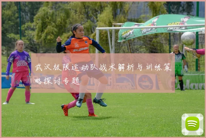 武汉极限运动队战术解析与训练策略探讨专题