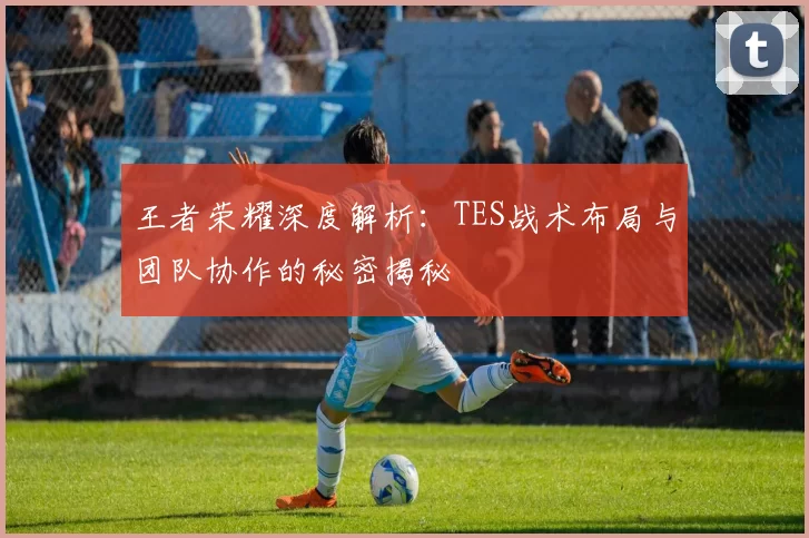 王者荣耀深度解析：TES战术布局与团队协作的秘密揭秘