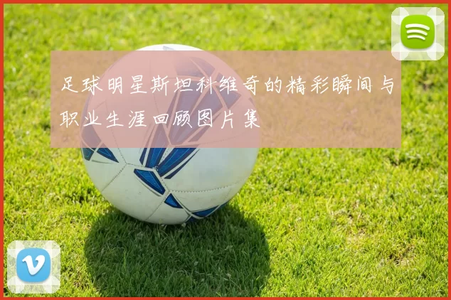 足球明星斯坦科维奇的精彩瞬间与职业生涯回顾图片集