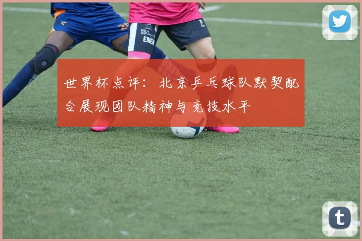 世界杯点评：北京乒乓球队默契配合展现团队精神与竞技水平