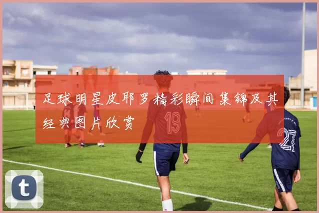 足球明星皮耶罗精彩瞬间集锦及其经典图片欣赏