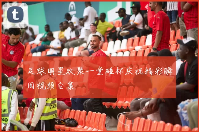 足球明星欢聚一堂碰杯庆祝精彩瞬间视频合集