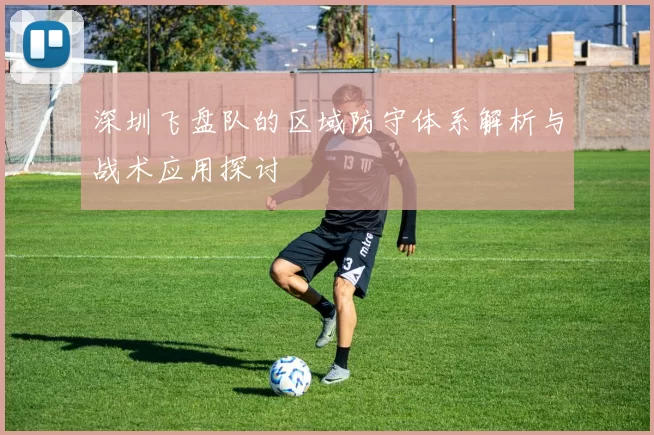 深圳飞盘队的区域防守体系解析与战术应用探讨