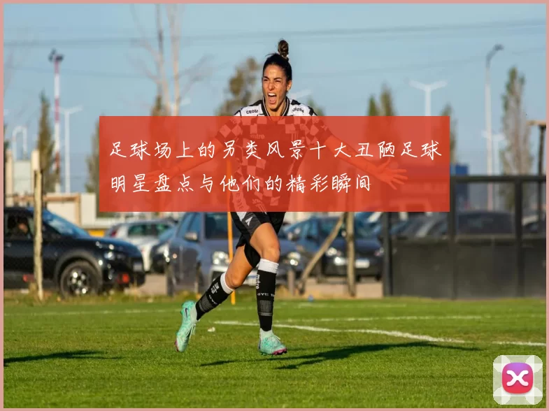 足球场上的另类风景十大丑陋足球明星盘点与他们的精彩瞬间