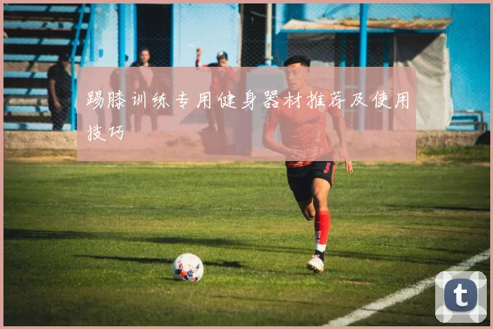 踢膝训练专用健身器材推荐及使用技巧