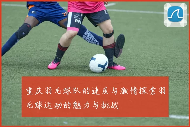 重庆羽毛球队的速度与激情探索羽毛球运动的魅力与挑战